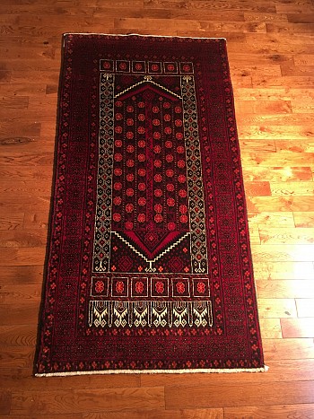 Iranian Rug #0156