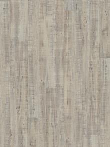 Artic Oak