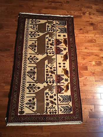 Indian Rug #0155